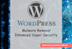 recover and secure your hacked website from any malware attack