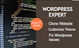 create website, wordpress website development, customize