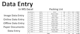 do make data entry sheets,roll up design, sign design,icon