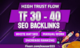 create high tf 30 plus dofollow contextual backlinks