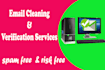 do email verification and list cleaning services 100k