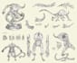 draw creature or character concept art