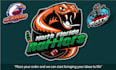 create a professional custom logo animation