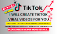 make tiktok video memes for you