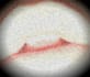 ghostwrite a taboo erotica