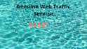provide you 10,000 human visitors for your web