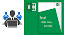 provide best quality excel data entry services