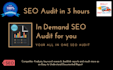 do comprehensive seo audit report in an hour for you