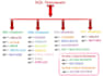 write any sql query