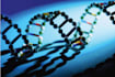 do biology and biotechnology essays