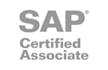 provide support for sap ariba mm modules