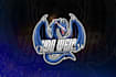 custom your mascot logo in 24 hours