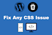 fix your wordpress CSS issues quickly