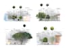 color 2d landscape design in plans, sections and elevations