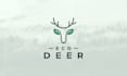 create modern minimalist logo and brand identity design