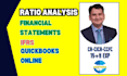 prepare custom financials and expert ratio analysis