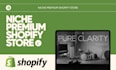 build you highly converting niche premium shopify store