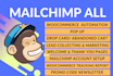 design professional mailchimp email template and setup automation