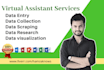 be your virtual assistant for data entry, data mining, web research, copy paste