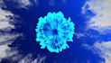eye catching smoke logo intro video animation