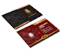 do modern minimalist business card within 24 hrs