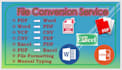 do data entry in excel csv pdf vcf word and conversions, free samples
