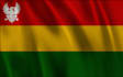 create individual and exclusive flags