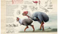 make a concept art that you need