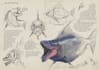 quick sketch a concept for your idea