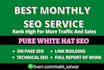 provide complete monthly seo service for top google ranking