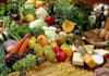 give you 200 cooking recipe ebooks on reduce