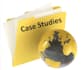 write professional case studies