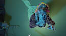do high quality rotoscoping, keying and object removal