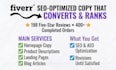 write SEO website copy, landing pages and product descriptions for you