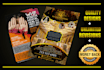 do next level flyer designs for you