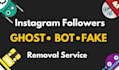 identify and remove instagram fake bots and ghost followers
