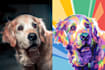 draw your pet into wpap style