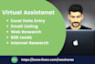 be your VA for excel data entry email listing and b2b leads
