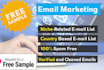 create a niche targeted email list manually