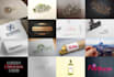 design any kind of professional logo for your business