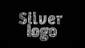 silver and gold diamond glitter logo intro or animation