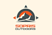 make professional logo design for any company