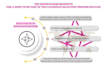 design professional info graphic poster