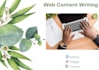 do professional original web content and blog writing