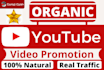 do organic viral youtube video promotion