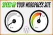 speed up wordpress website and optimize SEO performance