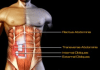 tell u best abs exercises and assist also