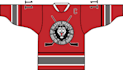 2d 3d ice hockey jerseys mockup