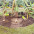 help you learn permaculture