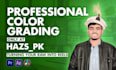 do professional video color grading and color correction